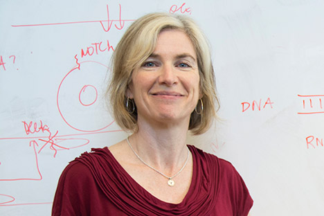 Blonde woman wearing maroon blouse standing in front of a whiteboard with writing