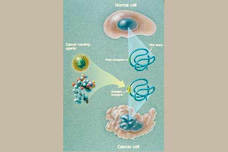color illustration of cancer-causing gene
