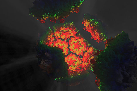 illustration of polio virus in reds, oranges and light greens