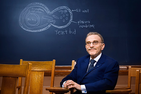 Man sitting in chair with blackboard diagram in background